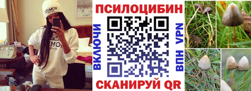 Псилоцибиновые грибы Psilocybine cubensis  Мантурово 